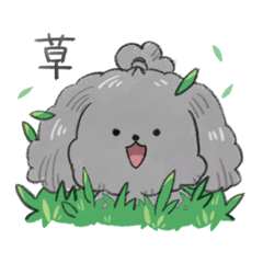 [LINEスタンプ] ちょんまげトイプーふくちゃん＼2／