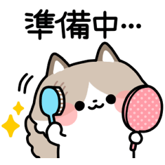 [LINEスタンプ] にゃんここれくしょん何してるスタンプ