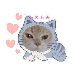 [LINEスタンプ] 動くルルとララ