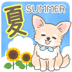 [LINEスタンプ] 【夏の会話】可愛いチワワ犬ちゃん