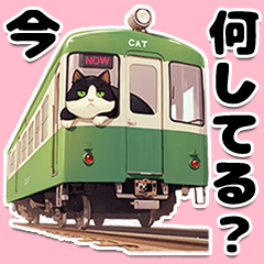 [LINEスタンプ] ハチワレ猫❤️いま何してる？スタンプ