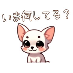 [LINEスタンプ] スムースチワワの「いま何してる？」