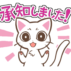 [LINEスタンプ] 働くしろねこちゃん