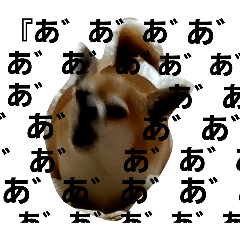 [LINEスタンプ] 家の犬たち+α①