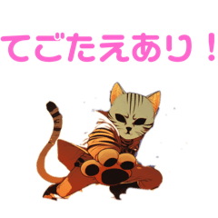 [LINEスタンプ] あんまねこスタンプ