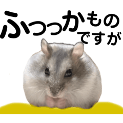 [LINEスタンプ] ふつつかものですがどうぞよろしく