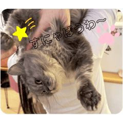 [LINEスタンプ] スナギモスタンプ2024