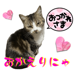 [LINEスタンプ] かわちいびぃび