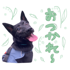 [LINEスタンプ] 西荻窪の名犬、こぐまちゃんのスタンプ