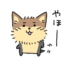 [LINEスタンプ] ヨークシャーテリアのまる