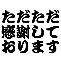 [LINEスタンプ] 全力の感謝と謝罪＊ビジネス家族友人毎日