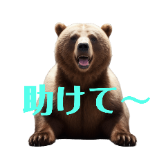 [LINEスタンプ] くま..の画像（メイン）