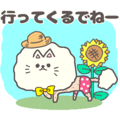 [LINEスタンプ] 静岡方言 サマーカットにゃんこ白ペルシャ