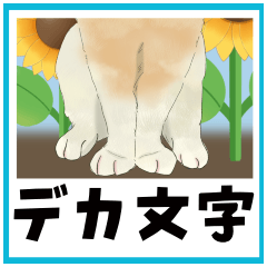 [LINEスタンプ] 【夏のお便り】モフ猫連合の夏【デカ文字】