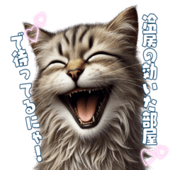 [LINEスタンプ] にゃんと安全！熱中症対策スタンプ