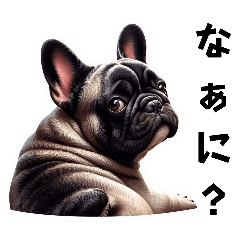 [LINEスタンプ] フレンチブルドッグ（日常会話）