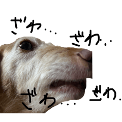 [LINEスタンプ] 犬らへん