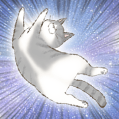 [LINEスタンプ] ぽちゃ猫ぽちこ