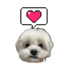 [LINEスタンプ] ちゃぴってみよう。つー