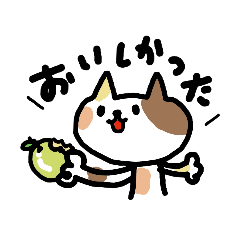 [LINEスタンプ] いろいろ毎日ねこスタンプ