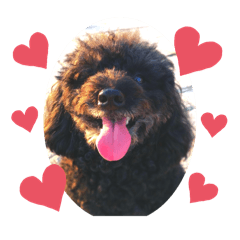 [LINEスタンプ] ♡ティアラ♡