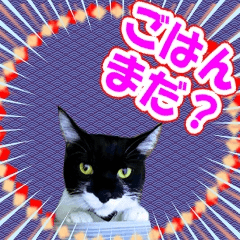 [LINEスタンプ] ミツ夫さんの日常スタンプ