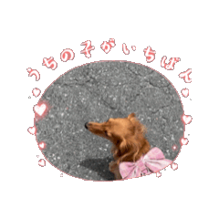 [LINEスタンプ] 動く空乃スタンプ