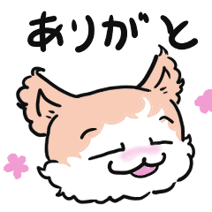 [LINEスタンプ] くせ毛猫のはっきり、使いやすいスタンプ