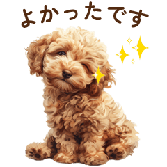 [LINEスタンプ] 子犬トイプードルのスタンプの画像（メイン）