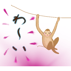 [LINEスタンプ] シニア動物