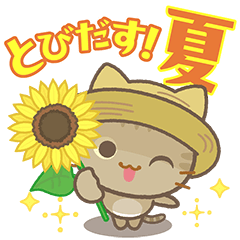 [LINEスタンプ] 飛び出す！【夏】3びきのねこ