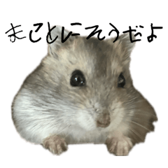 [LINEスタンプ] ジャンガリアンハムスターのニュートン博士