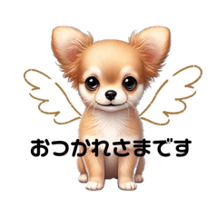 [LINEスタンプ] チワワのフィナ日常会話