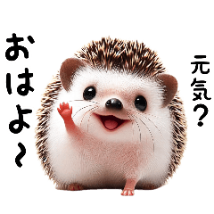 [LINEスタンプ] 毎日使えるハリネズミのスタンプ1