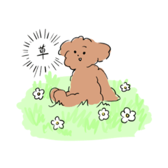 [LINEスタンプ] Good Dog (Toy Poodle)