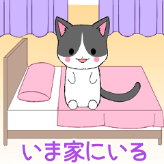 [LINEスタンプ] ちびにゃんこ10【いま何してる？】