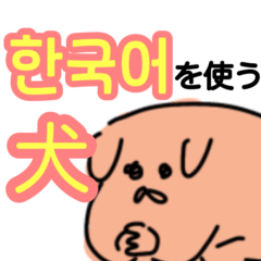 [LINEスタンプ] いぬのかんこくご