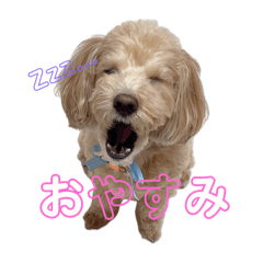 [LINEスタンプ] ぽんずのぽんぽん