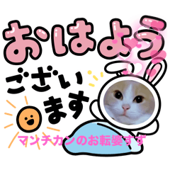 [LINEスタンプ] マンチカンのお転婆すず