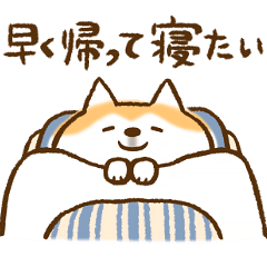 [LINEスタンプ] 柴ちん10 社会の柴犬の画像（メイン）