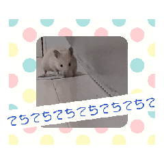 [LINEスタンプ] てちてちするでち