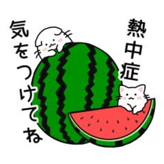 [LINEスタンプ] まっしろねここの涼しげサマー