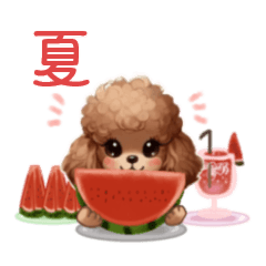 [LINEスタンプ] 夏のトイプーちゃん・使いやすい日常会話