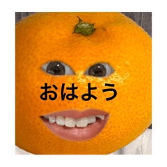 [LINEスタンプ] キムみかんちゃん