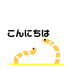 [LINEスタンプ] チンアナゴさんのスタンプ