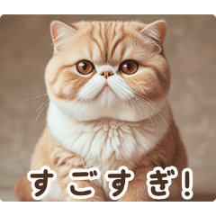 [LINEスタンプ] 世界のネコ:日本語