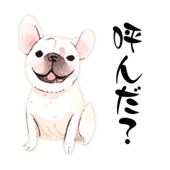 [LINEスタンプ] ほのぼのフレンチブルドッグ