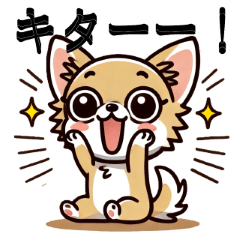 [LINEスタンプ] オタクチワワ