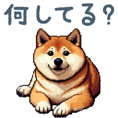 [LINEスタンプ] 今何してる？柴犬【挨拶・毎日使える】