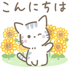 [LINEスタンプ] 【夏】くすみカラーとネコと3